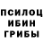 Псилоцибиновые грибы Magic Shrooms Skiff137