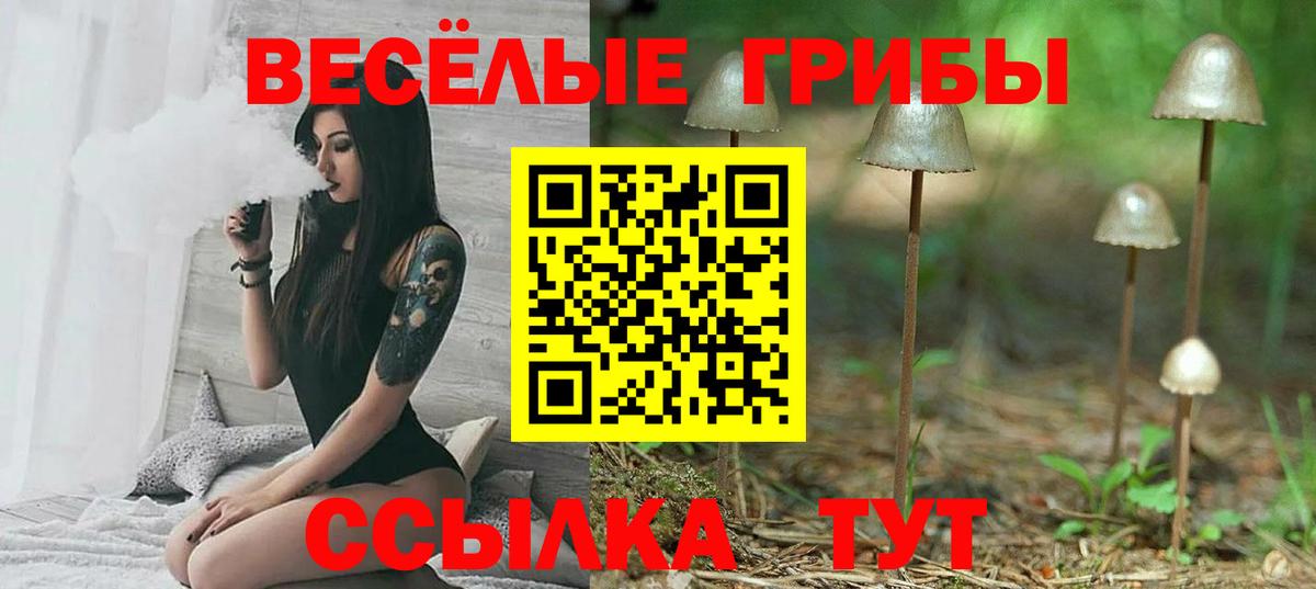 Звенигород  Псилоцибиновые грибы GOLDEN TEACHER  Вход с VPN 
